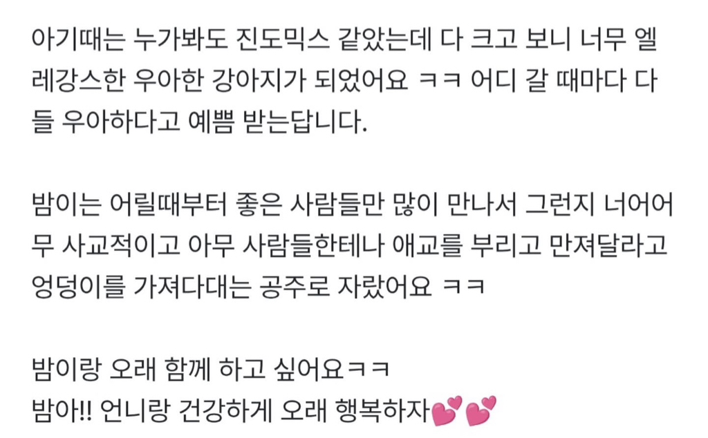 강아지-입양-후기-10-이미지