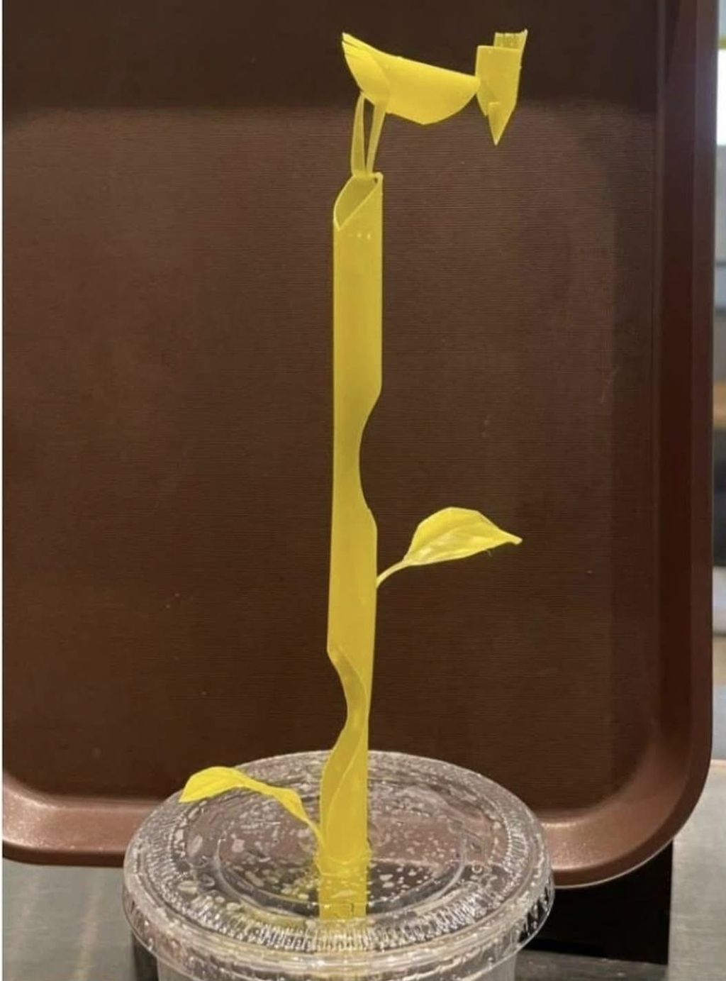 심심했던-빽다방-손님-1-이미지