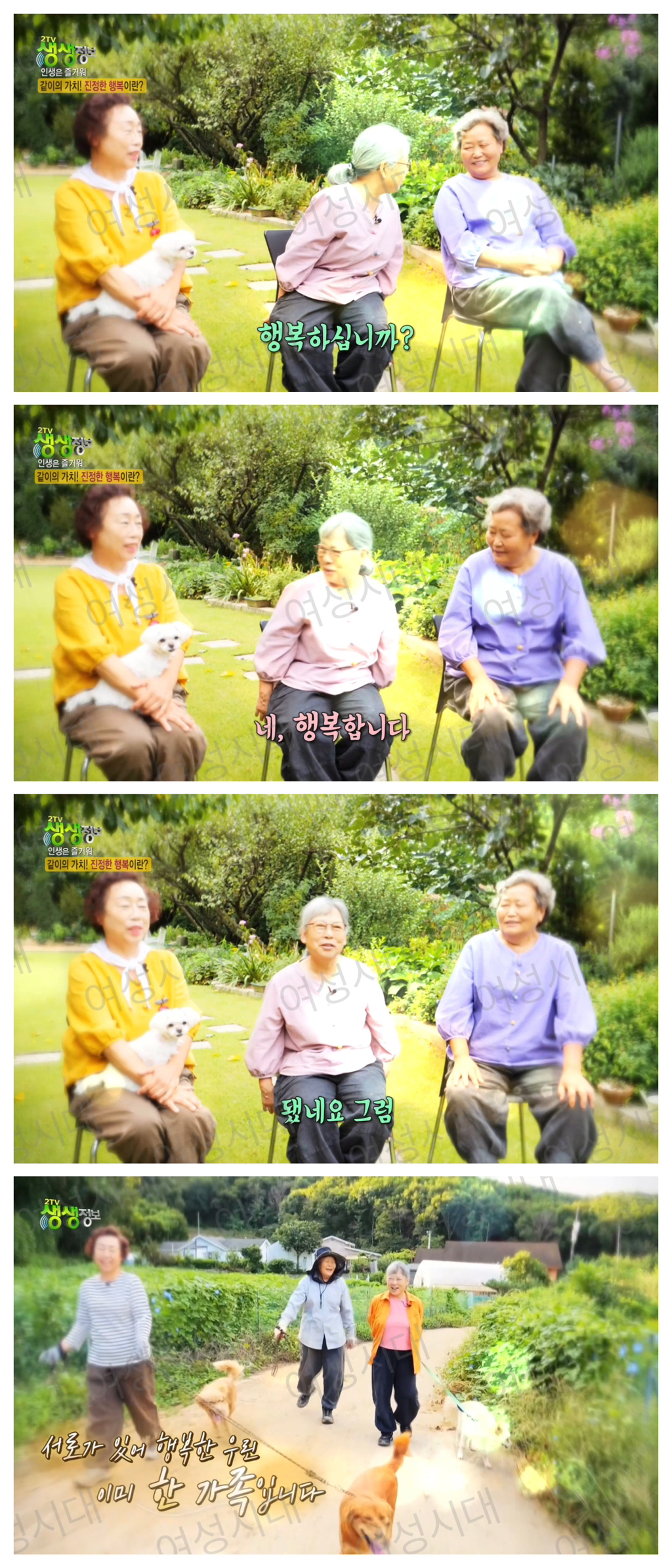 비혼여성의-로망-그자체인-생생정보통-세-할머니-71-이미지