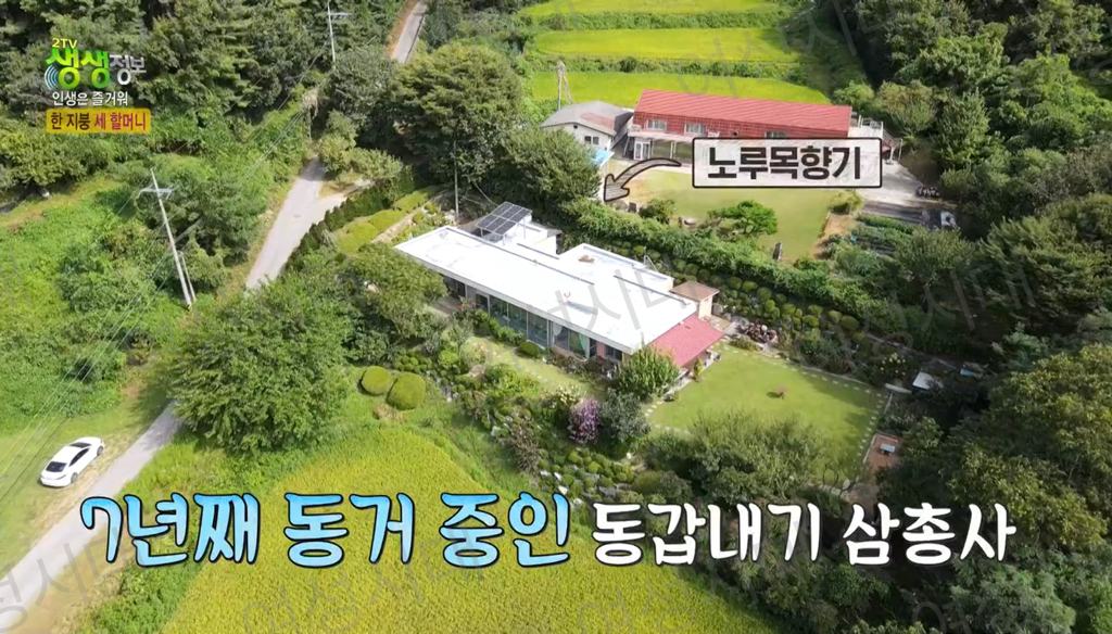 비혼여성의-로망-그자체인-생생정보통-세-할머니-3-이미지