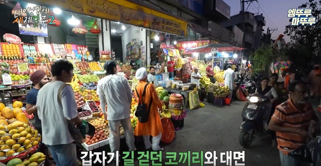 과일가게에서-만난-코끼리에게-다-퍼준-기안84-2-이미지