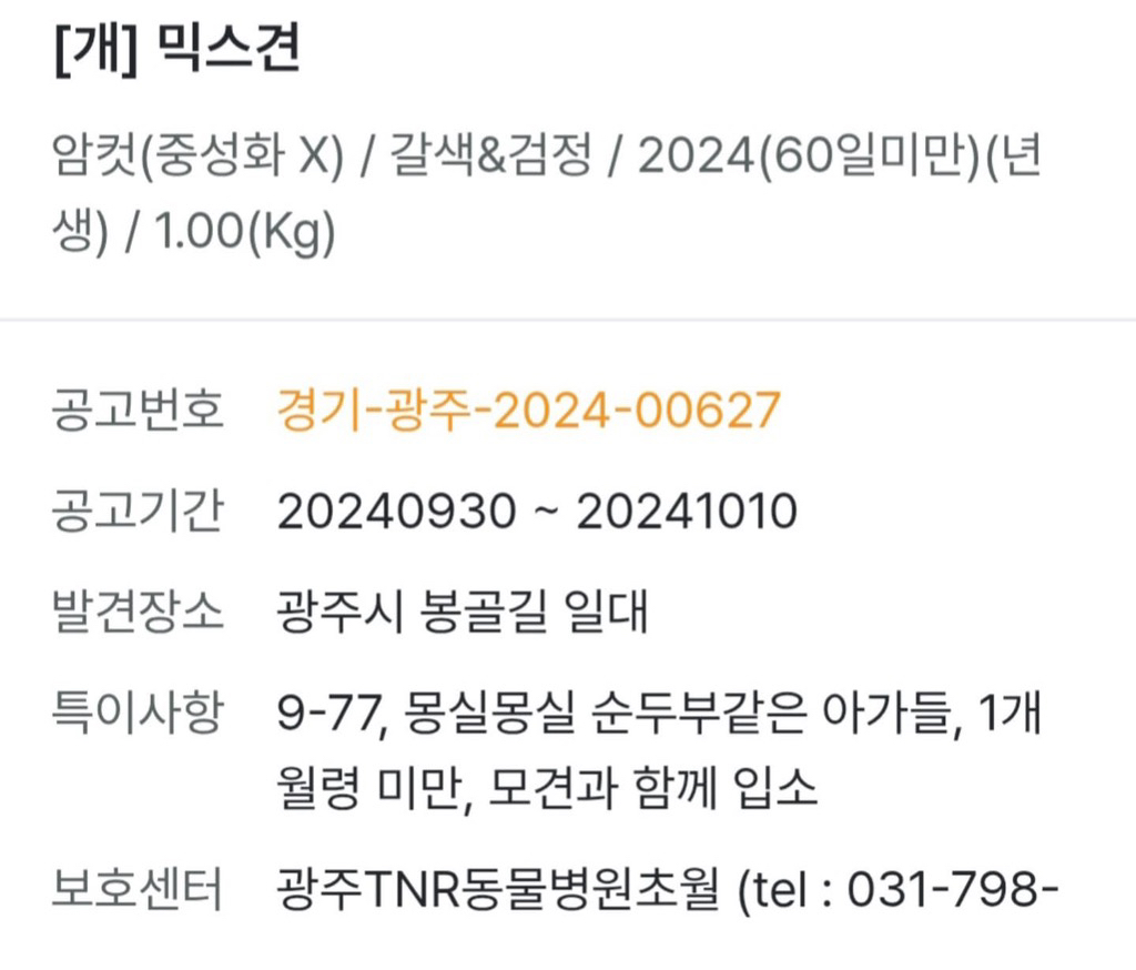 강아지-입양-후기-1-이미지