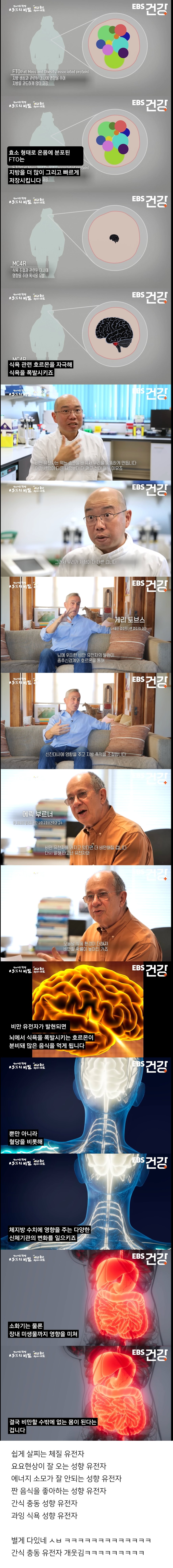 비만인-사람-유전자-검사-결과-너무-신기함.jpg-1-이미지