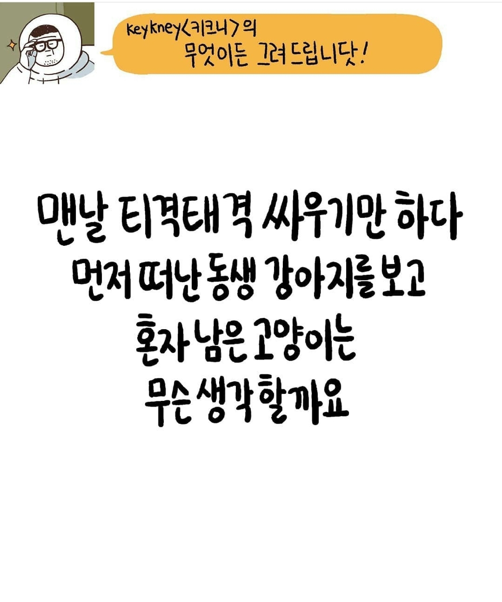 견주와-집사들이-보면-눈물나는-키크니-일러스트들.jpg-18-이미지