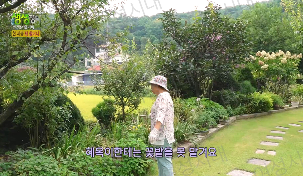 비혼여성의-로망-그자체인-생생정보통-세-할머니-24-이미지