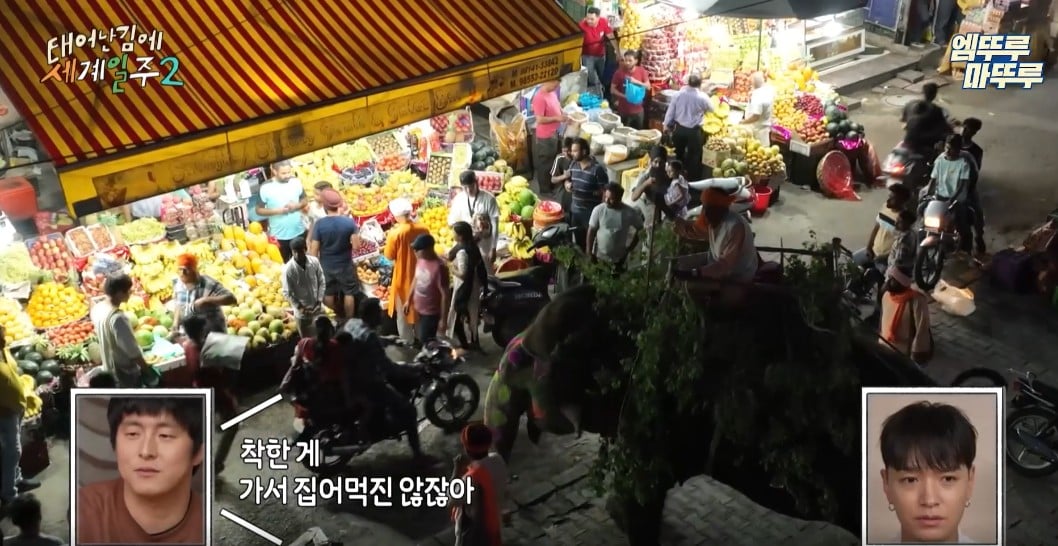 과일가게에서-만난-코끼리에게-다-퍼준-기안84-31-이미지