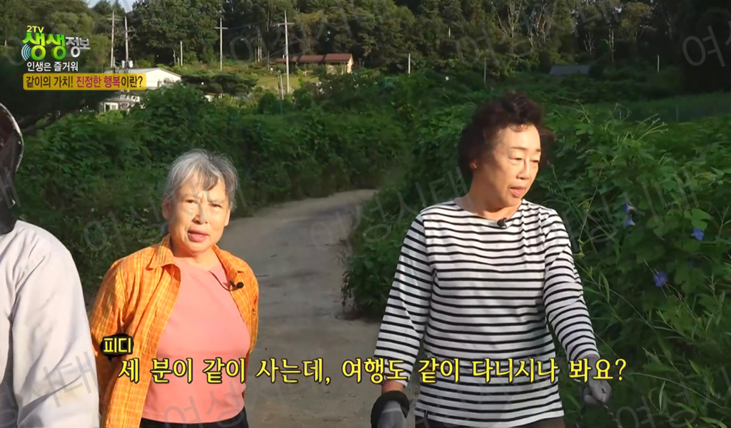 비혼여성의-로망-그자체인-생생정보통-세-할머니-63-이미지