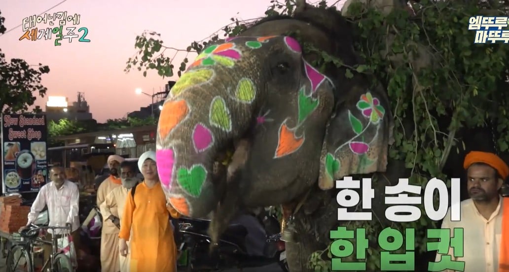 과일가게에서-만난-코끼리에게-다-퍼준-기안84-14-이미지