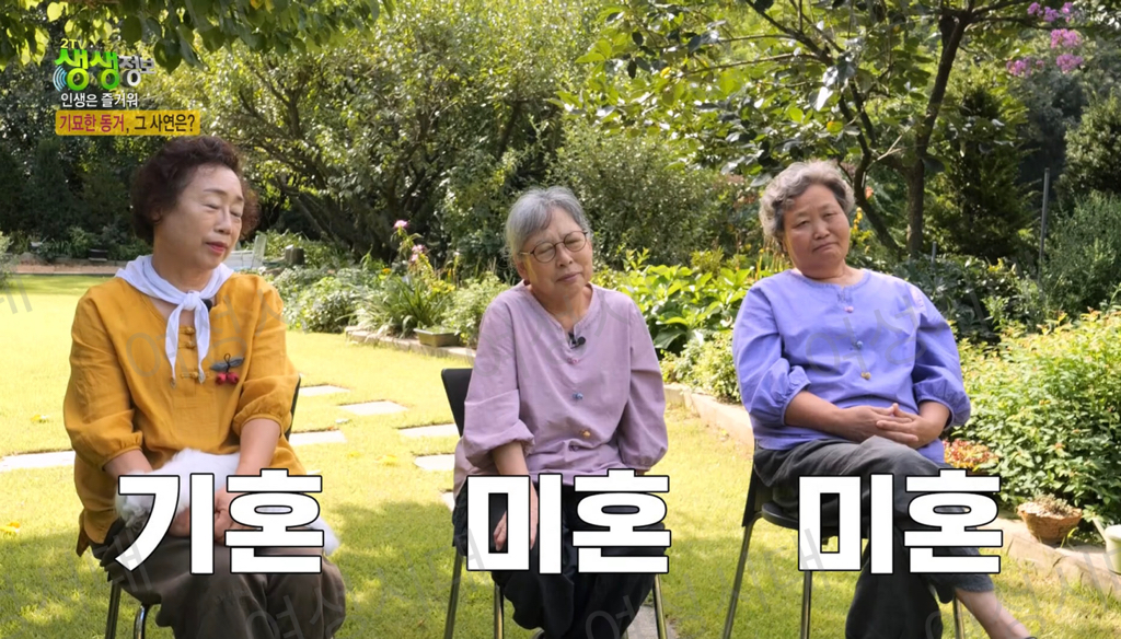 비혼여성의-로망-그자체인-생생정보통-세-할머니-44-이미지