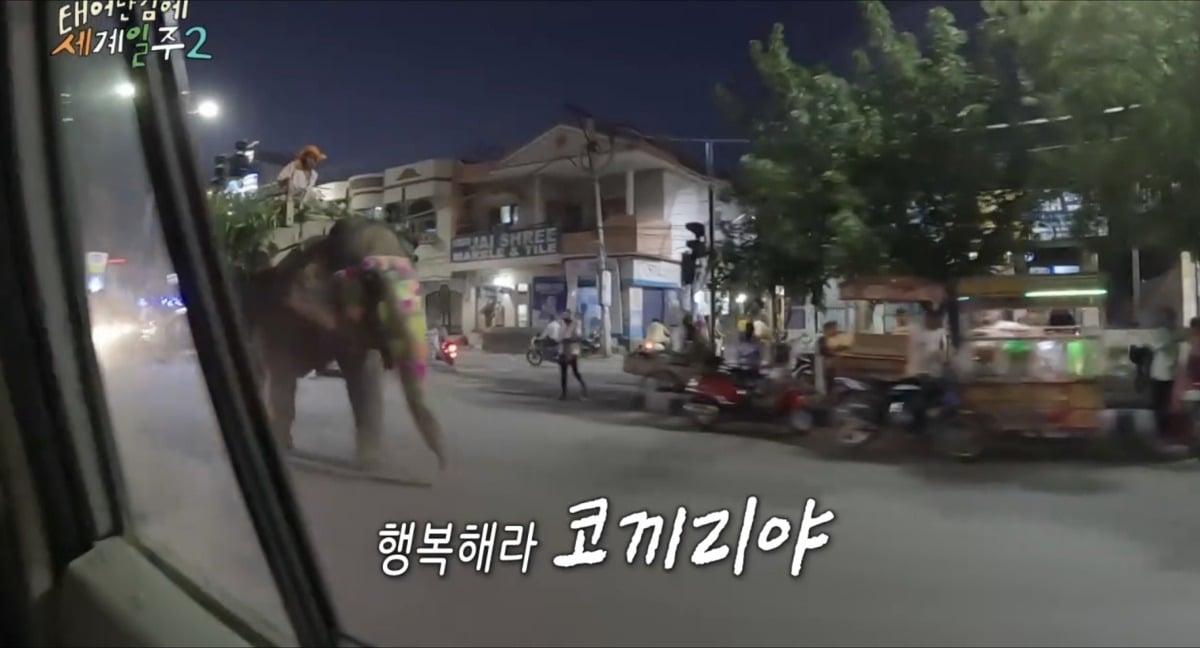 과일가게에서-만난-코끼리에게-다-퍼준-기안84-38-이미지