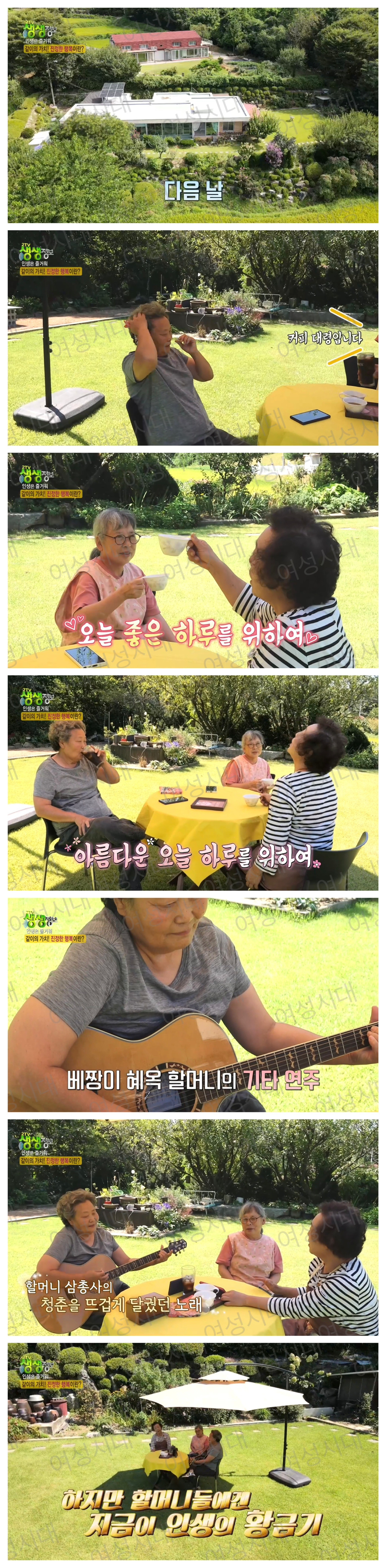 비혼여성의-로망-그자체인-생생정보통-세-할머니-69-이미지