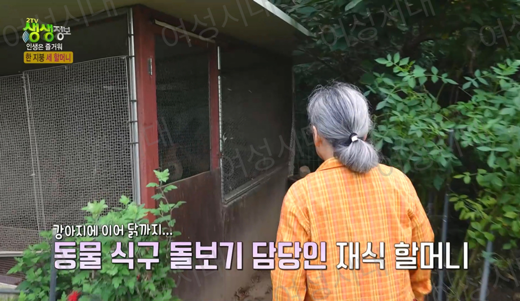 비혼여성의-로망-그자체인-생생정보통-세-할머니-31-이미지