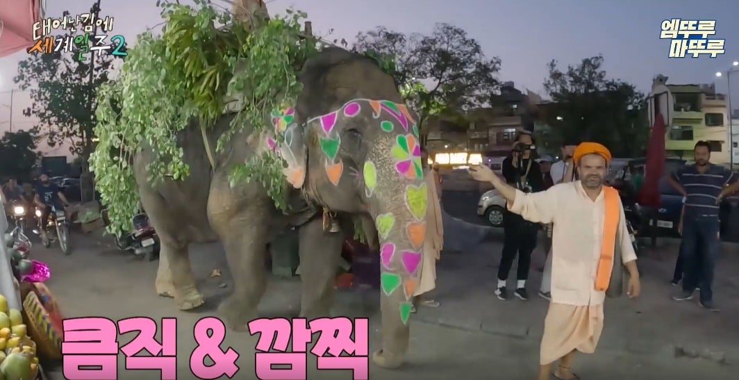 과일가게에서-만난-코끼리에게-다-퍼준-기안84-3-이미지