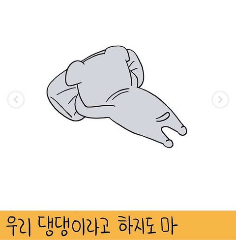 견주와-집사들이-보면-눈물나는-키크니-일러스트들.jpg-6-이미지