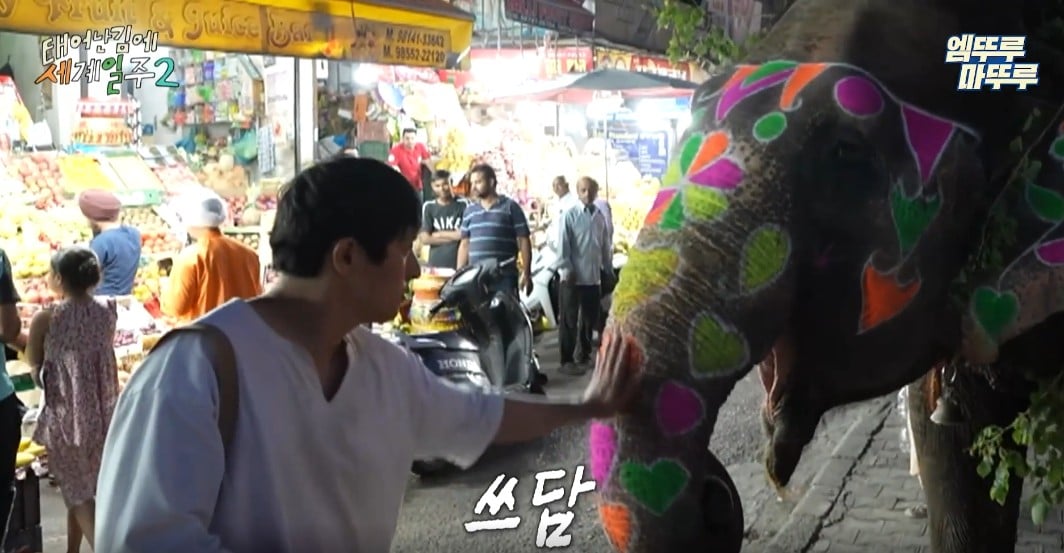 과일가게에서-만난-코끼리에게-다-퍼준-기안84-25-이미지