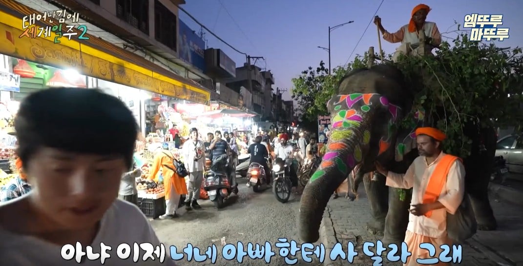 과일가게에서-만난-코끼리에게-다-퍼준-기안84-36-이미지