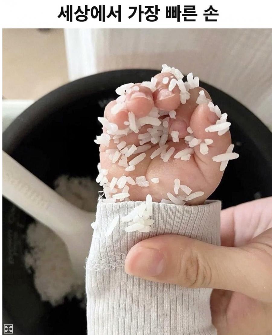 세상에서-가장-빠른-손-1-이미지