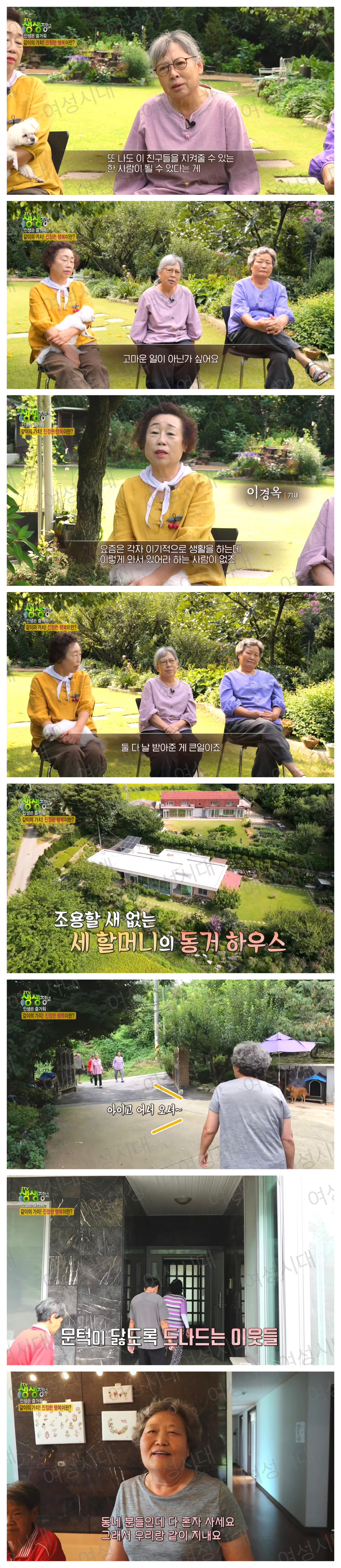 비혼여성의-로망-그자체인-생생정보통-세-할머니-66-이미지