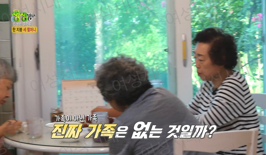 비혼여성의-로망-그자체인-생생정보통-세-할머니-41-이미지