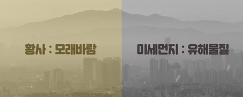 미세먼지-해독음식-0-이미지