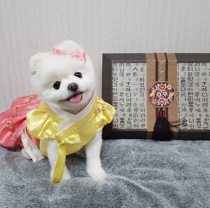 이름-때문에-고통받는-사람들-4-이미지