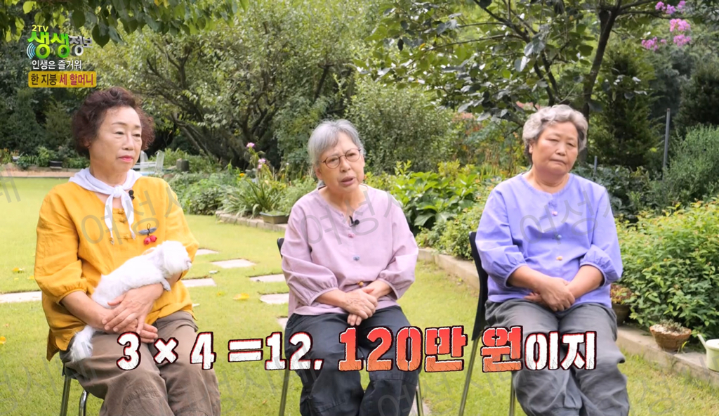 비혼여성의-로망-그자체인-생생정보통-세-할머니-19-이미지