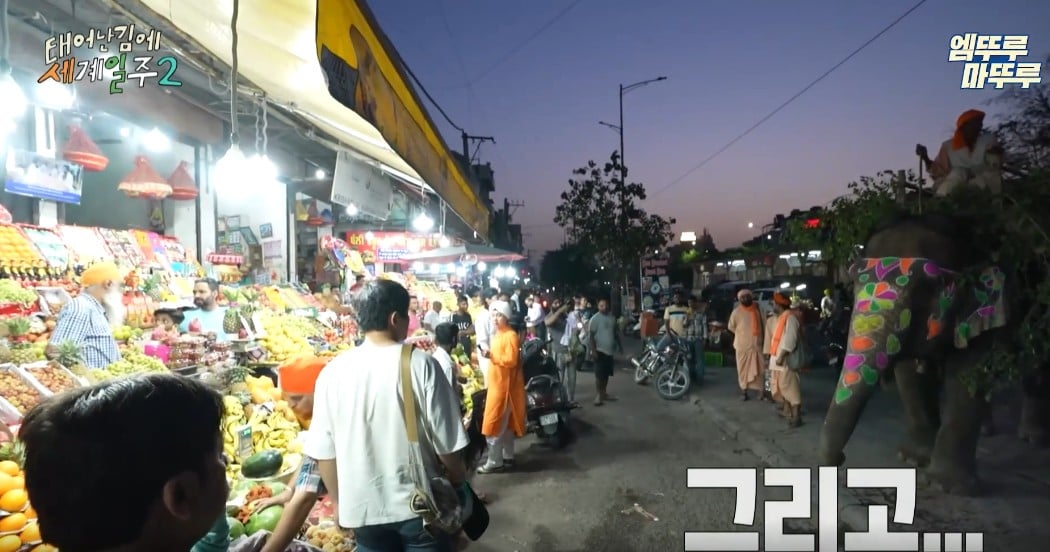 과일가게에서-만난-코끼리에게-다-퍼준-기안84-27-이미지