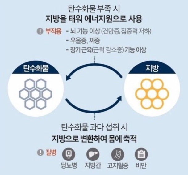 탄수화물-꼭-먹어야-되는-이유-1-이미지