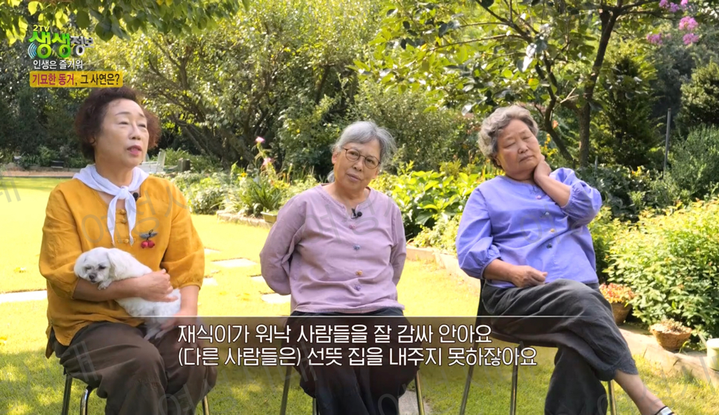 비혼여성의-로망-그자체인-생생정보통-세-할머니-57-이미지