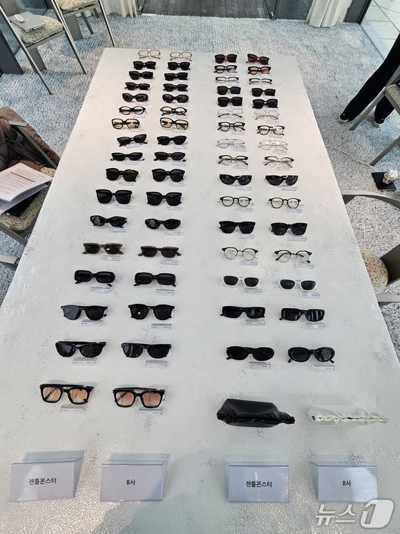 [단독]-젠틀몬스터-표절-의혹...블루엘리펀트-대표-구속-2-이미지