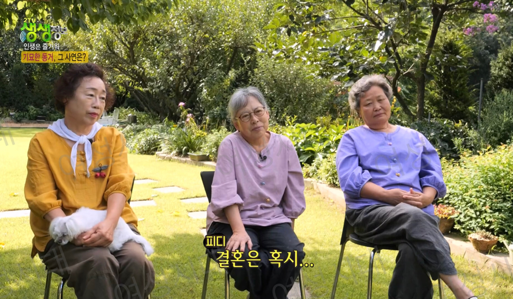 비혼여성의-로망-그자체인-생생정보통-세-할머니-42-이미지
