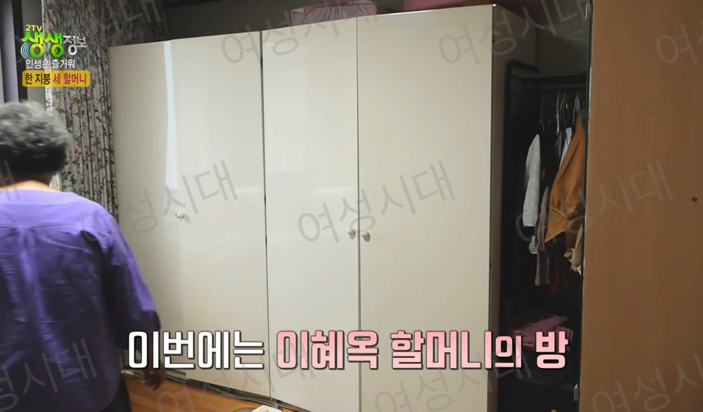 비혼여성의-로망-그자체인-생생정보통-세-할머니-8-이미지