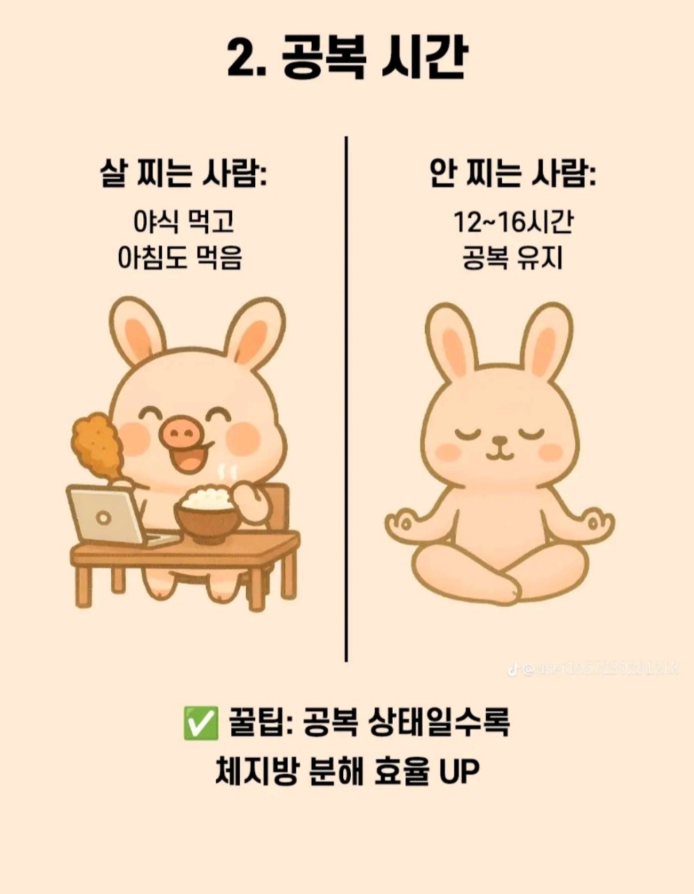 살-찌는-사람-VS-살-안찌는-사람-2-이미지