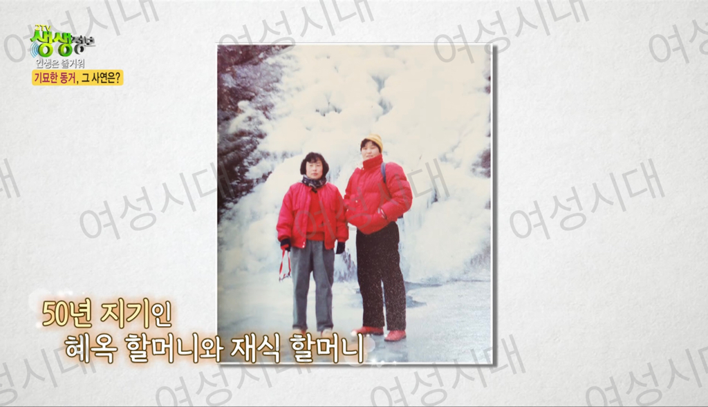 비혼여성의-로망-그자체인-생생정보통-세-할머니-49-이미지