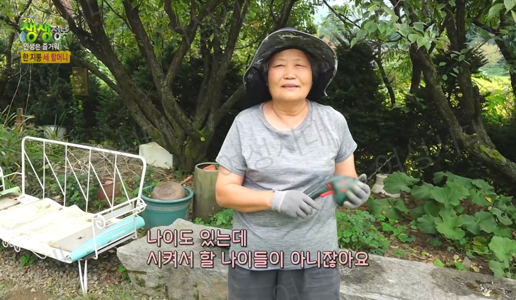 비혼여성의-로망-그자체인-생생정보통-세-할머니-27-이미지