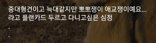 예뻐해주는-사람-없어서-시무룩한-강쥐-3-이미지