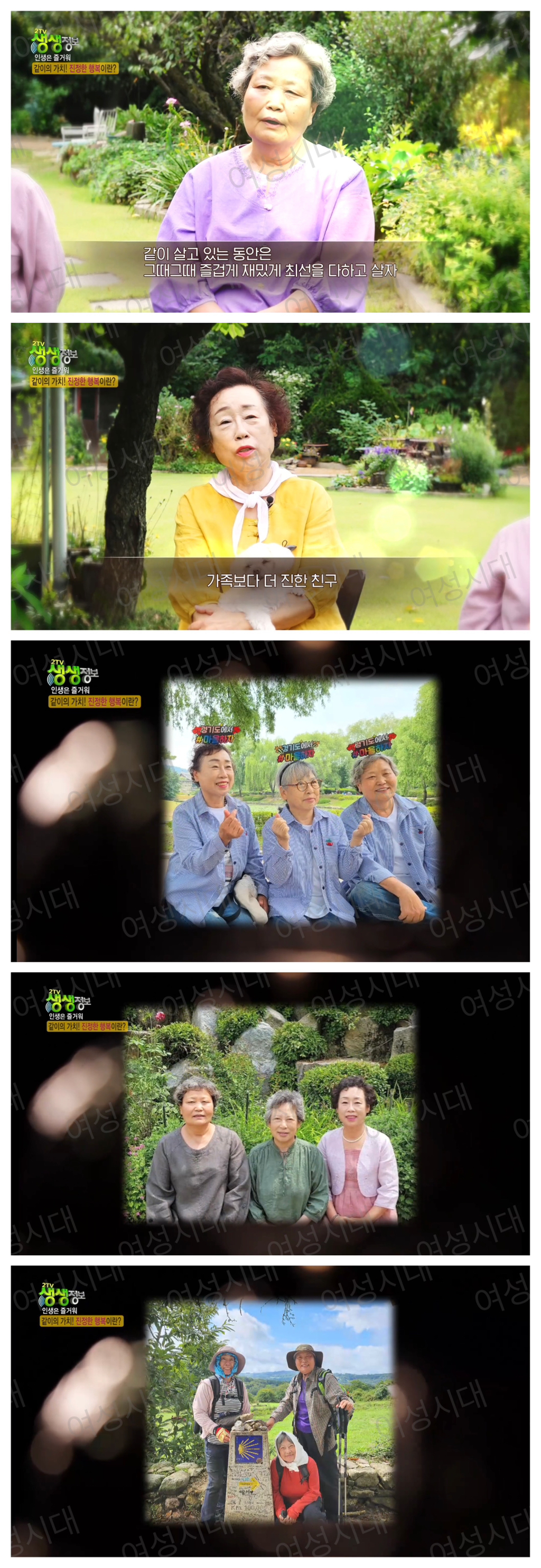 비혼여성의-로망-그자체인-생생정보통-세-할머니-70-이미지