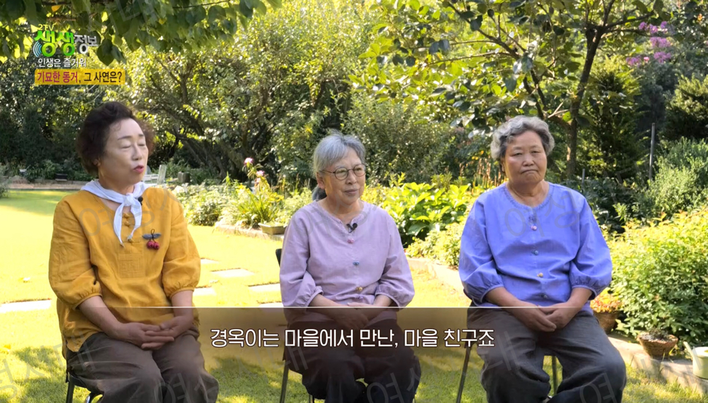 비혼여성의-로망-그자체인-생생정보통-세-할머니-52-이미지