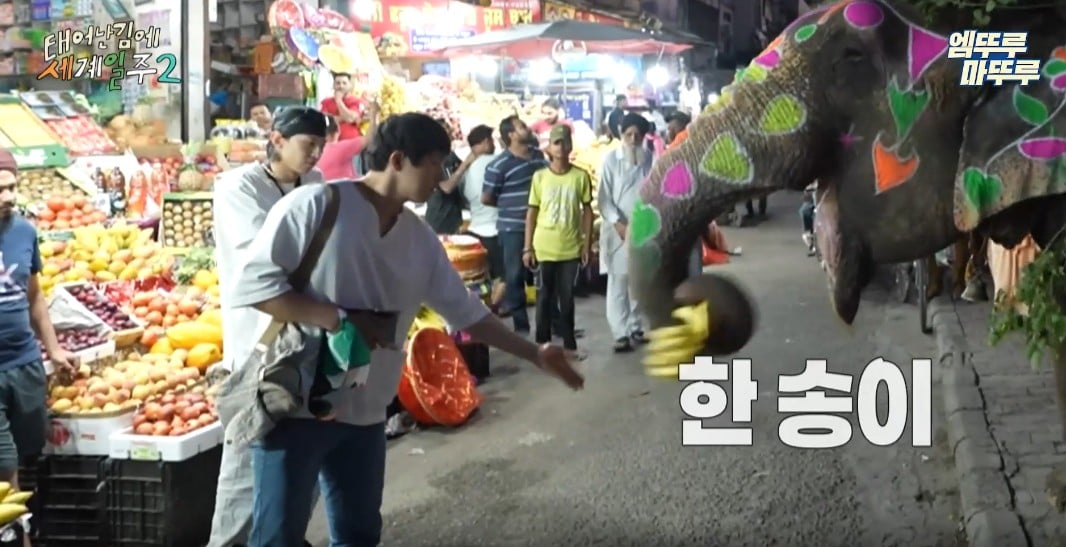 과일가게에서-만난-코끼리에게-다-퍼준-기안84-13-이미지