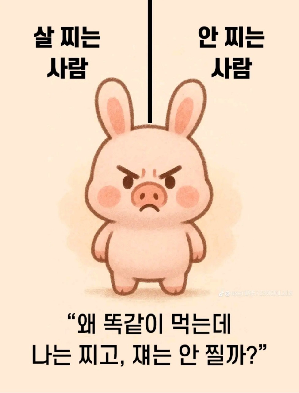 살-찌는-사람-VS-살-안찌는-사람-0-이미지