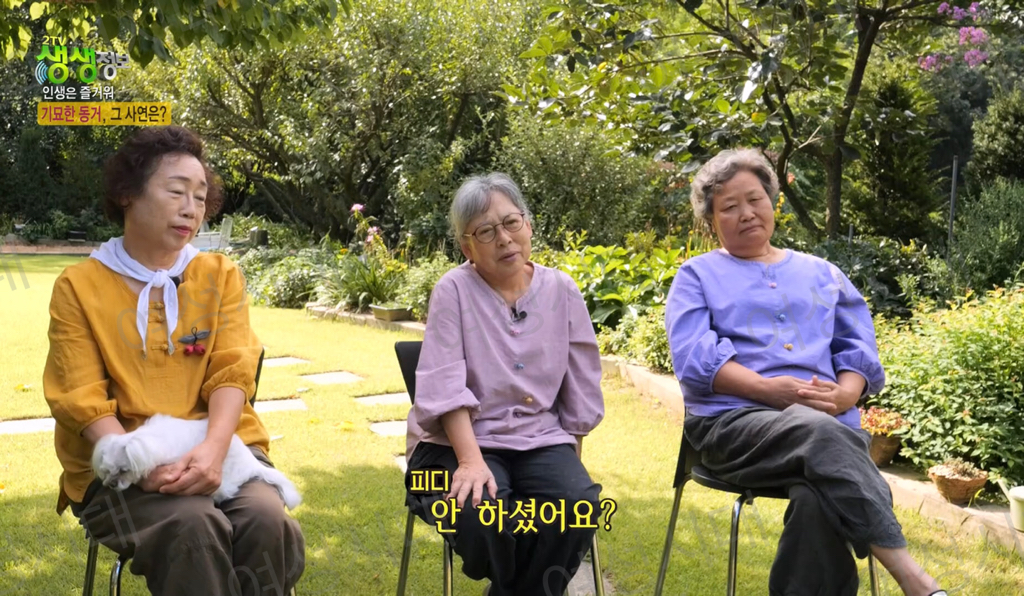 비혼여성의-로망-그자체인-생생정보통-세-할머니-43-이미지