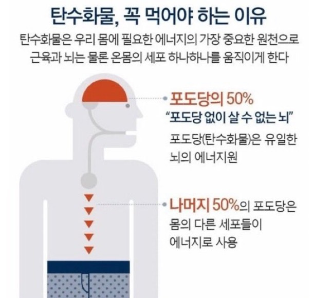 탄수화물-꼭-먹어야-되는-이유-0-이미지