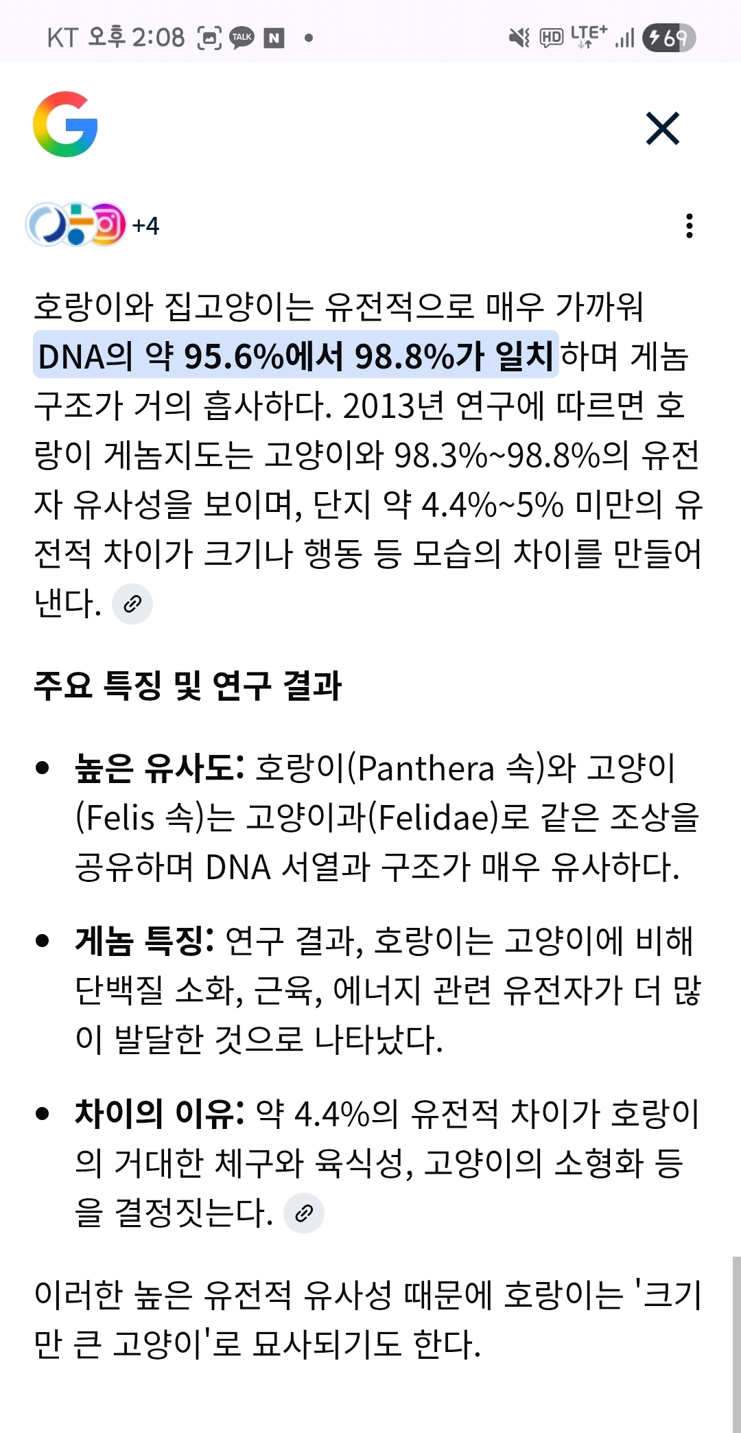 고양이=가정용-호랑이임이-증명됨-1-이미지