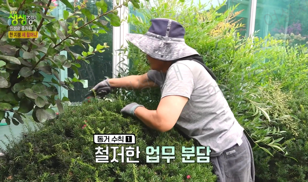 비혼여성의-로망-그자체인-생생정보통-세-할머니-22-이미지