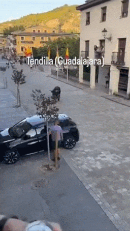 평행-주차-도와주는-람보르기니.gif-1-이미지