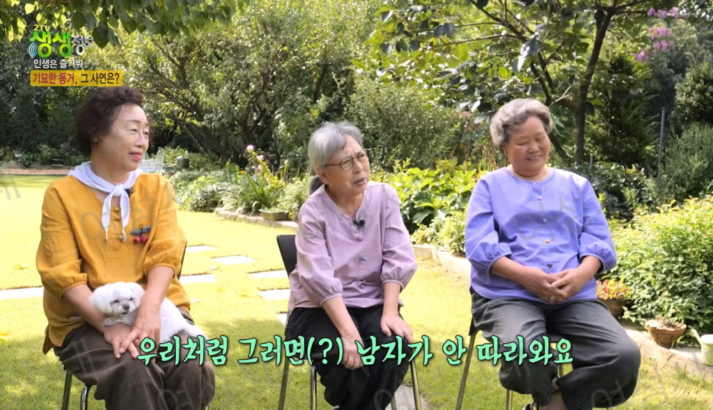 비혼여성의-로망-그자체인-생생정보통-세-할머니-47-이미지