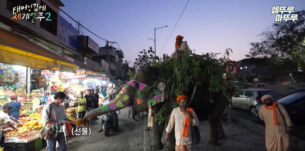 과일가게에서-만난-코끼리에게-다-퍼준-기안84-18-이미지