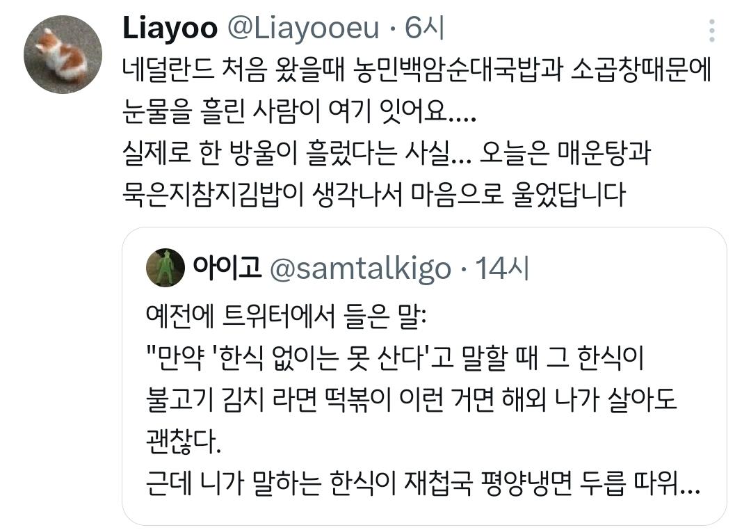 만약-'한식-없이는-못-산다'고-말할-때-그-한식이-불고기-김치-라면-떡볶이-이런-거면.twt-8-이미지