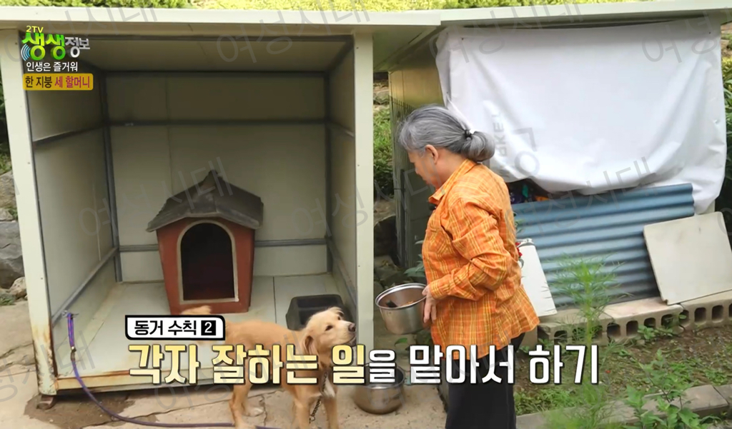 비혼여성의-로망-그자체인-생생정보통-세-할머니-29-이미지