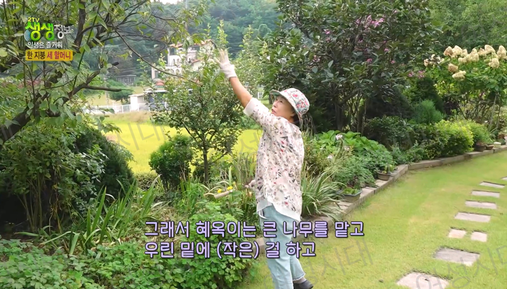 비혼여성의-로망-그자체인-생생정보통-세-할머니-25-이미지